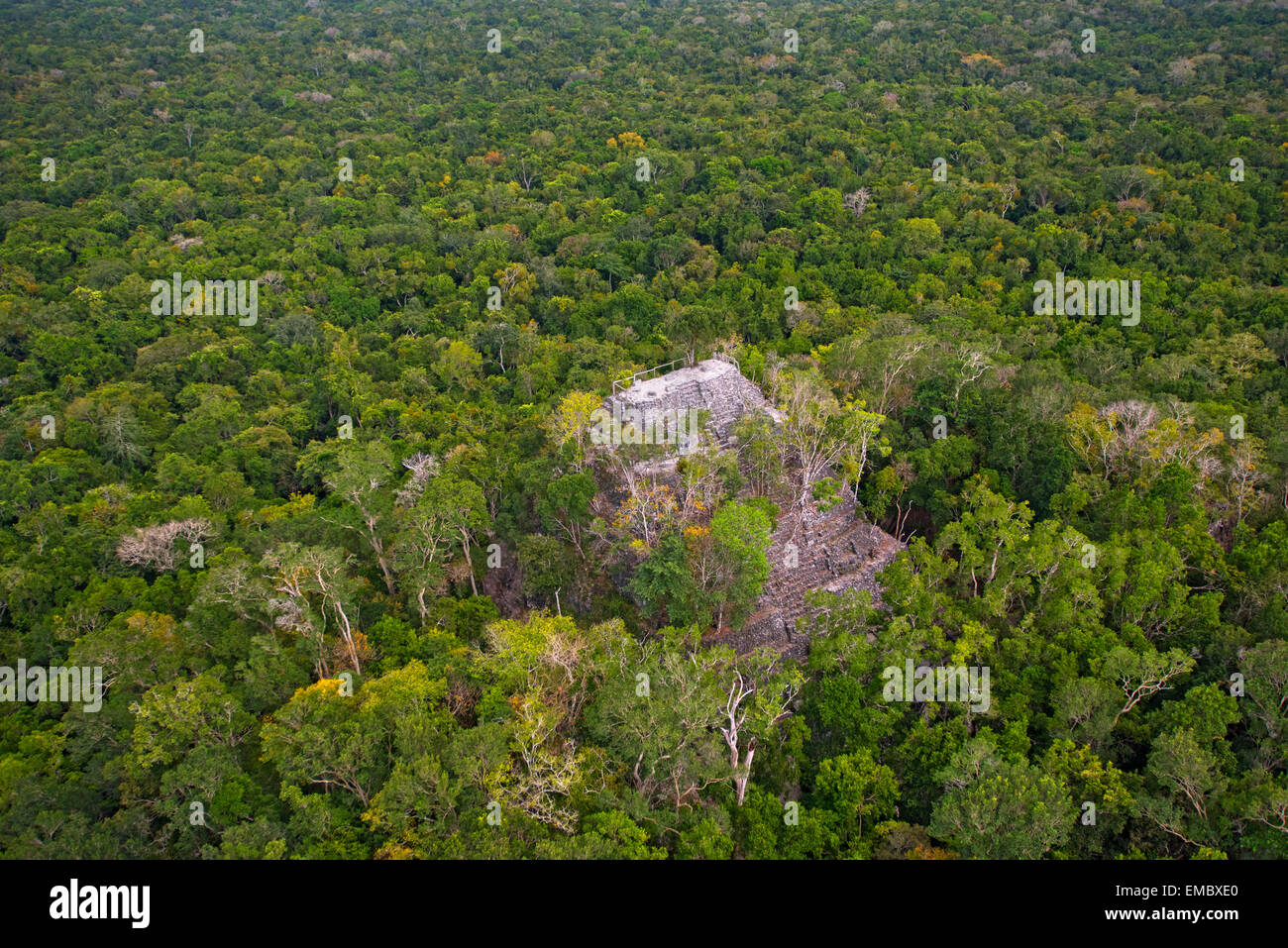 La Danta Complex; El Mirador, Guatemala Stock Photo