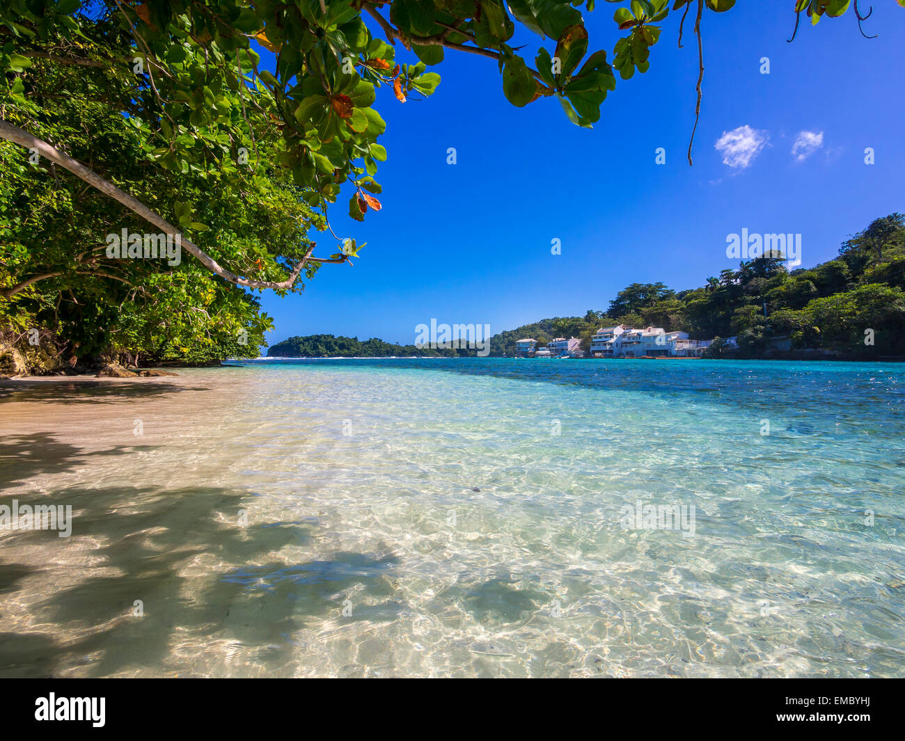 Jamaica, Port Antonio, blue lagoon with luxury villas in background Stock Photo Alamy