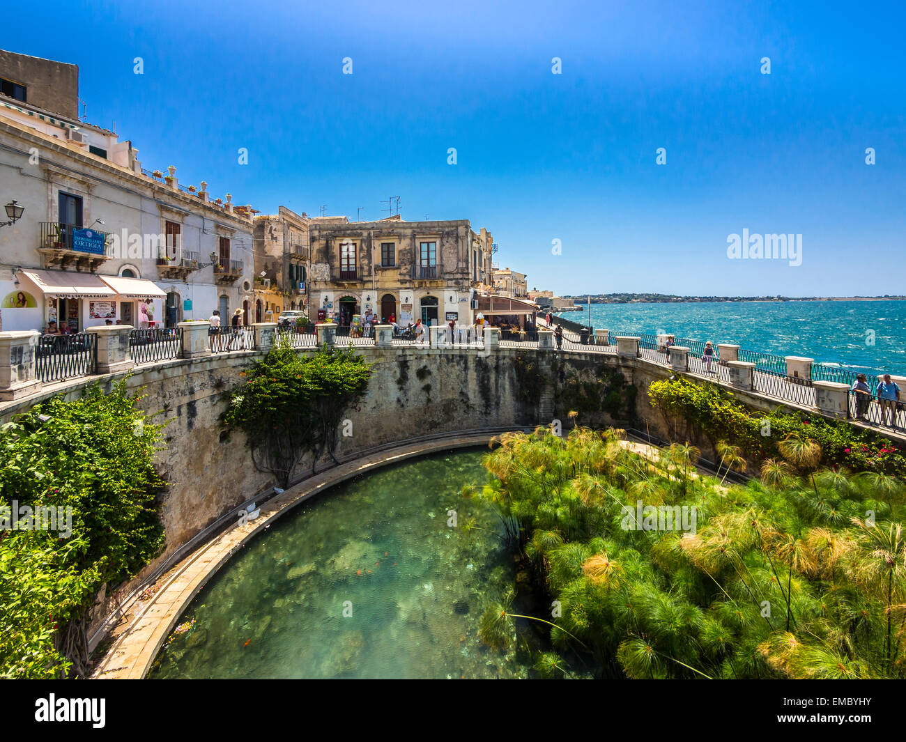Italy, Sicily, Siracusa, Arethusa spring Stock Photo - Alamy