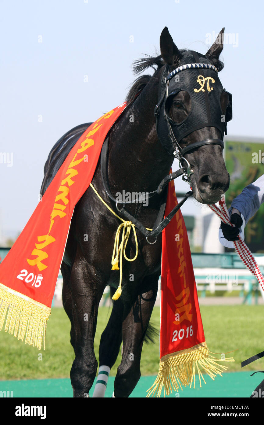 Kurino Star O, APRIL 18, 2015 - Horse Racing : Kurino Star O after winning the Antares Stakes at Hanshin Racecourse in Hyogo, Japan. (Photo by Eiichi Yamane/AFLO) Stock Photo
