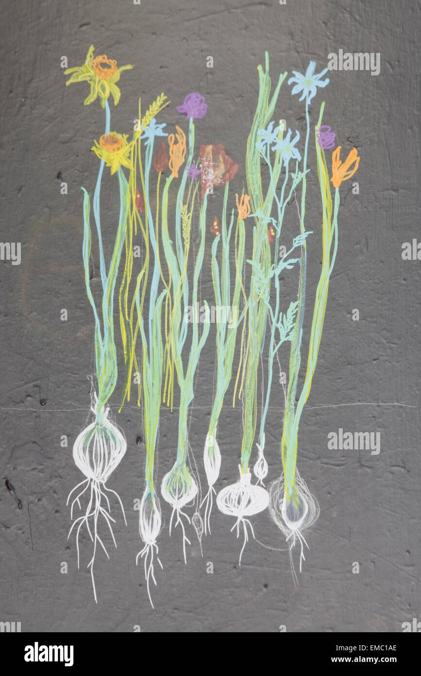Blackboard with spring flowers drawn in Chalk Stock Photo Alamy