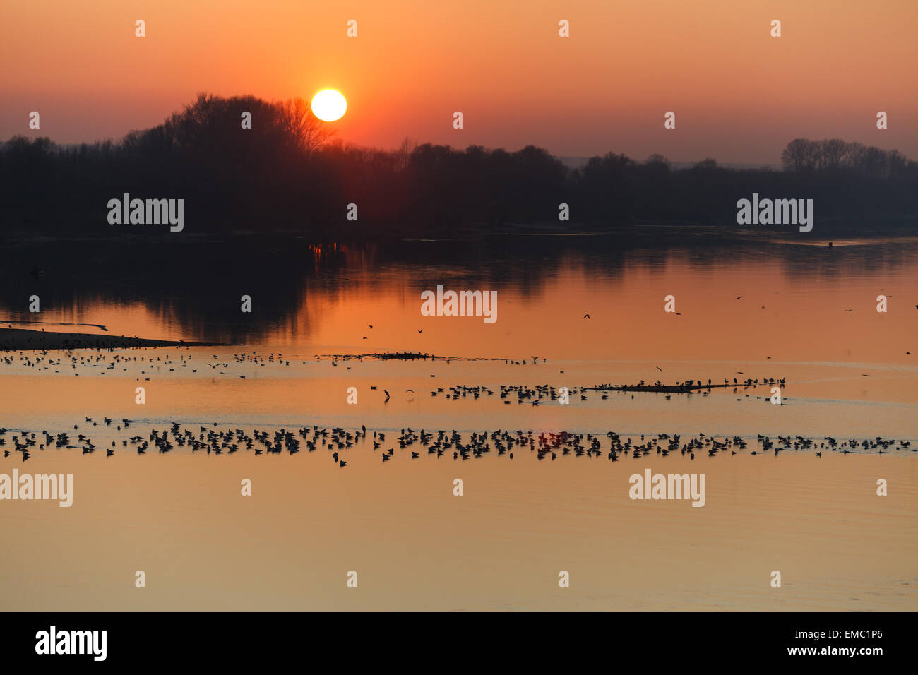 Sunset over calm river and flock of birds Stock Photo