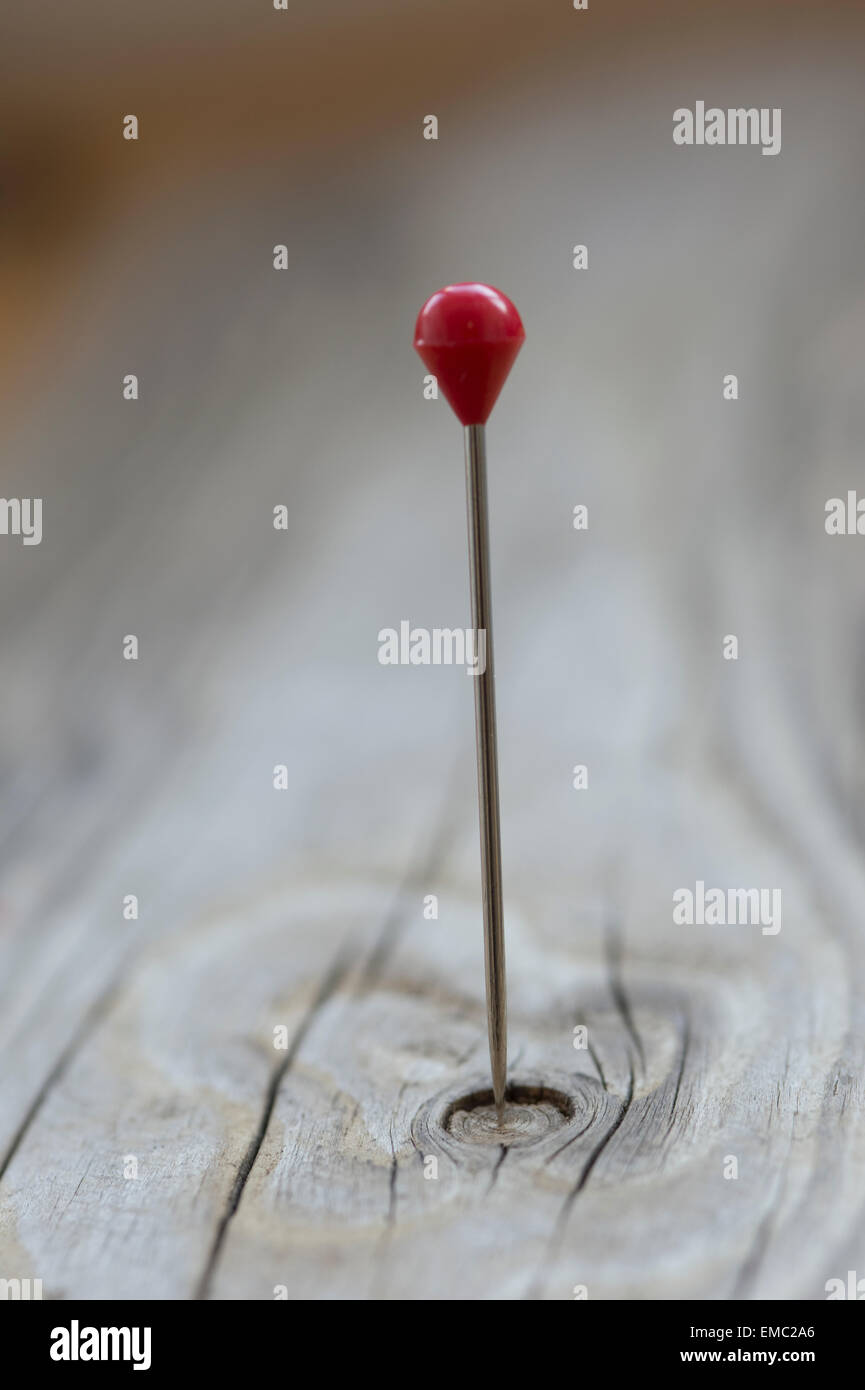 Fixing pin in wooden knot Stock Photo Alamy