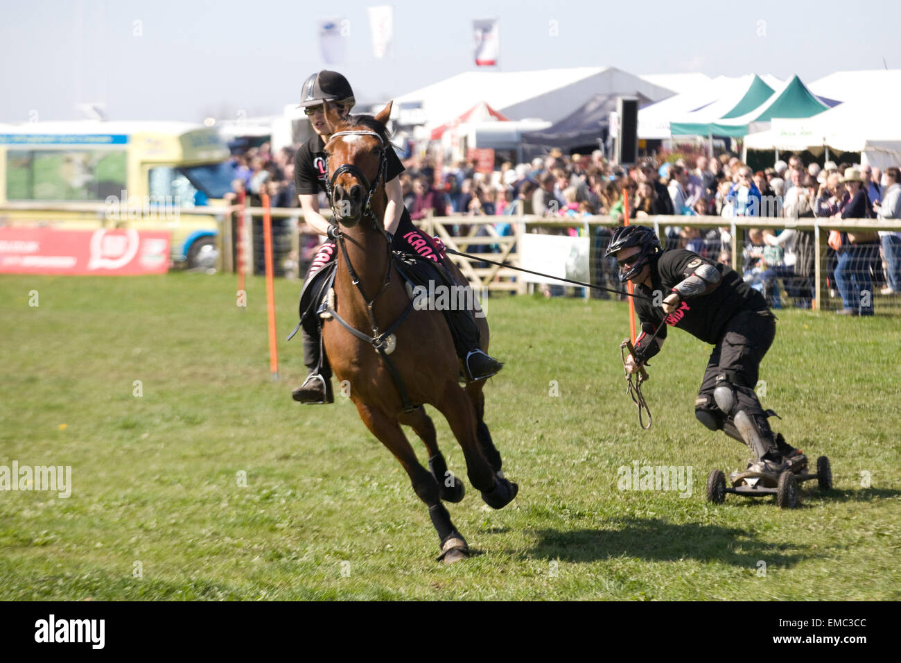 Horse boarding at a show in England Stock Photo Alamy