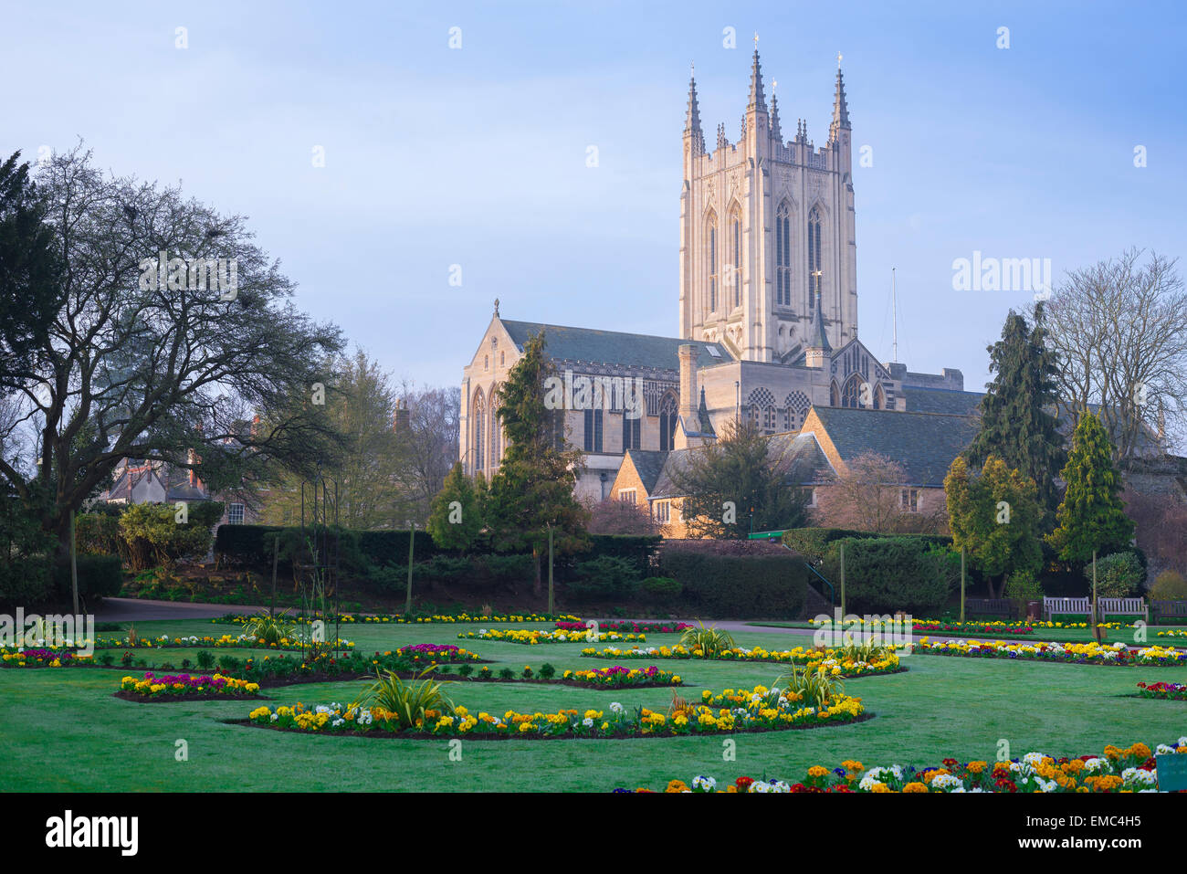 Bury St Edmunds cathedral, view of St Edmundsbury cathedral showing the Abbey Gardens in the foreground, Bury St Edmunds,Suffolk, England,UK Stock Photo