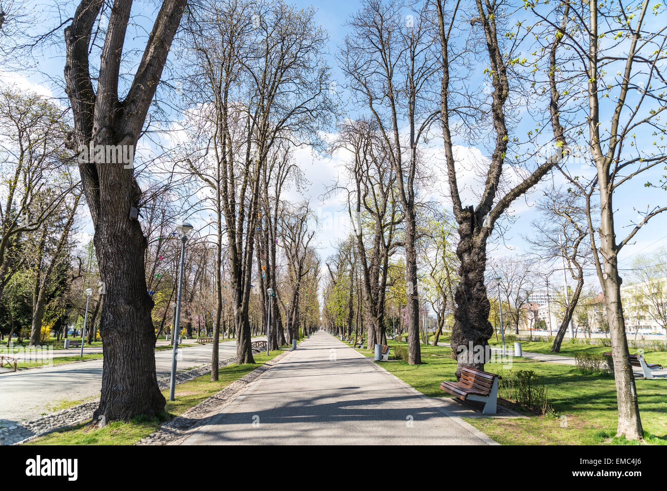 Family nature trail happy urban park hi-res stock photography and ...