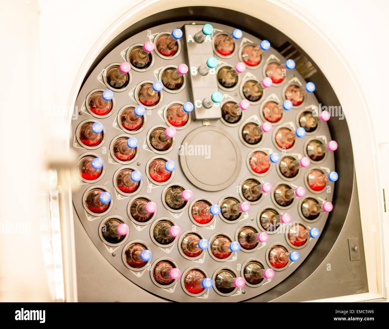 Blood cultures in a laboratory apparatus Stock Photo Alamy