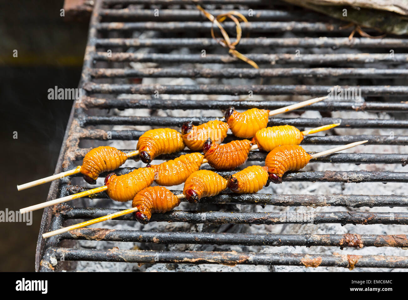 Ecuador, Puerto Francisco de Orellana, grilled larva of trunk beetle Stock Photo