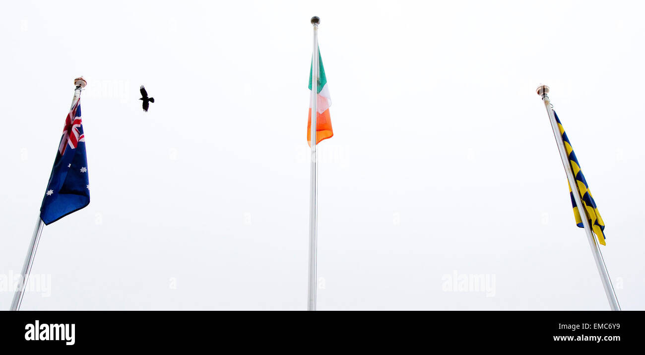 Irish, Australian and Clare flag on pole Stock Photo