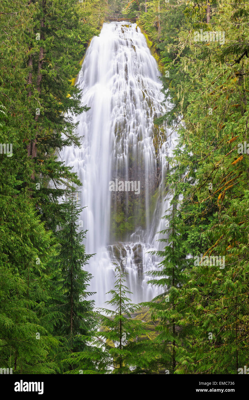 USA, Oregon, Lane County, Proxy Falls Stock Photo