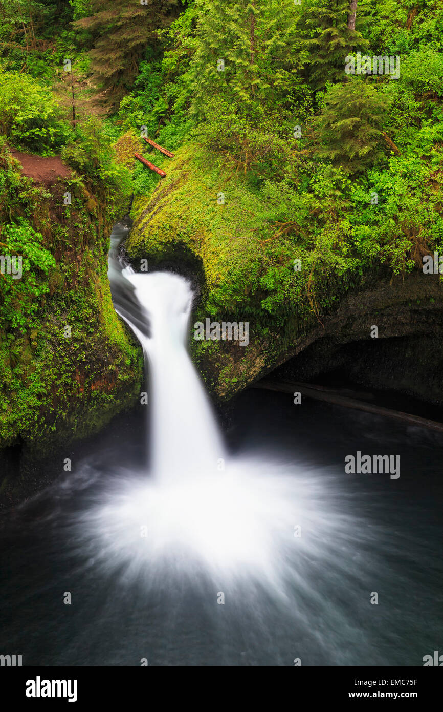 USA, Oregon, Hood River County, Columbia River Punch Bowl Falls Stock Photo Alamy