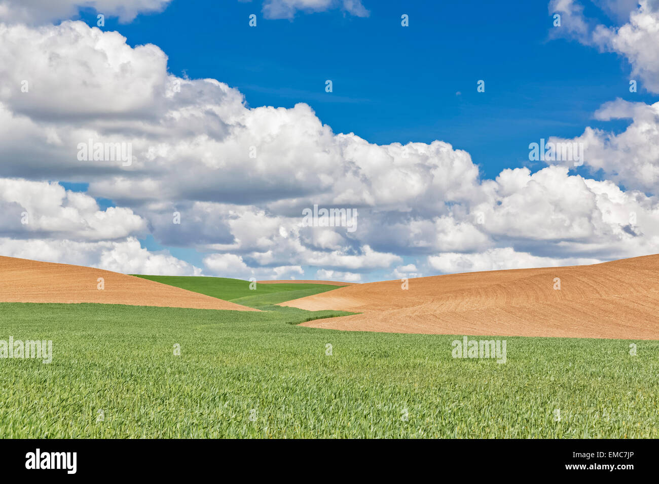 USA, Idaho, Palouse, grain fields Stock Photo Alamy