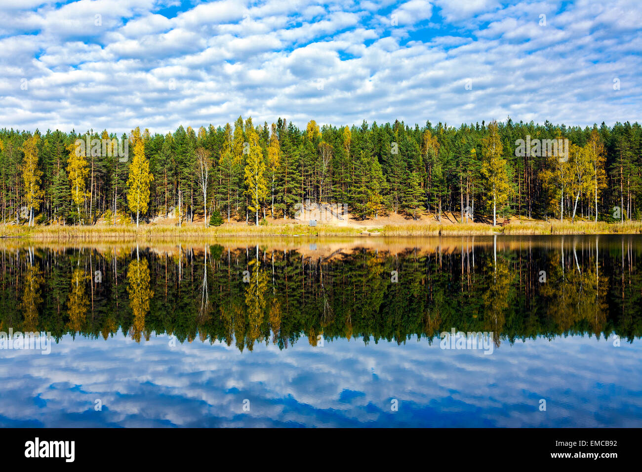 Estonia, Odri lake, trees reflecting on calm water Stock Photo