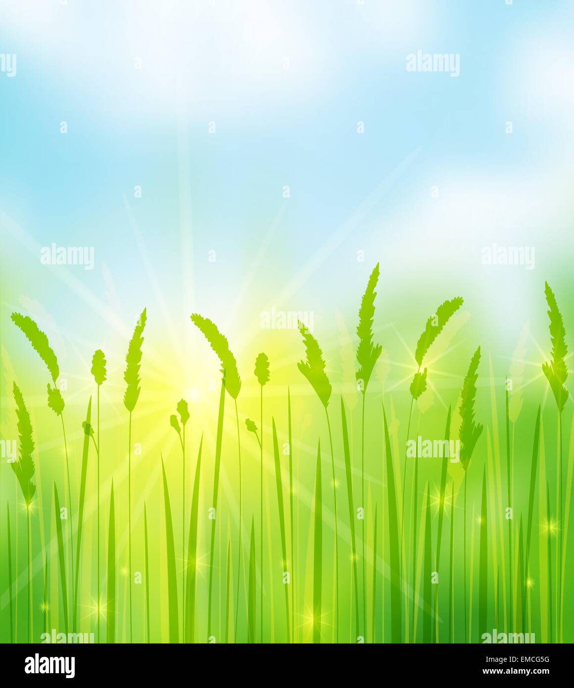 Soft grass green Stock Vector Images - Alamy