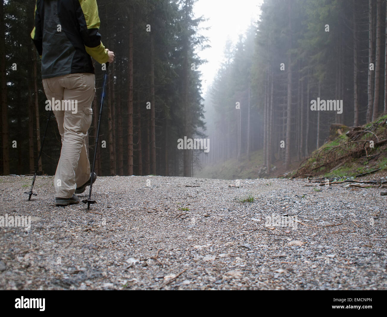 Austria, Maria Alm, female hiker walking on forest track Stock Photo