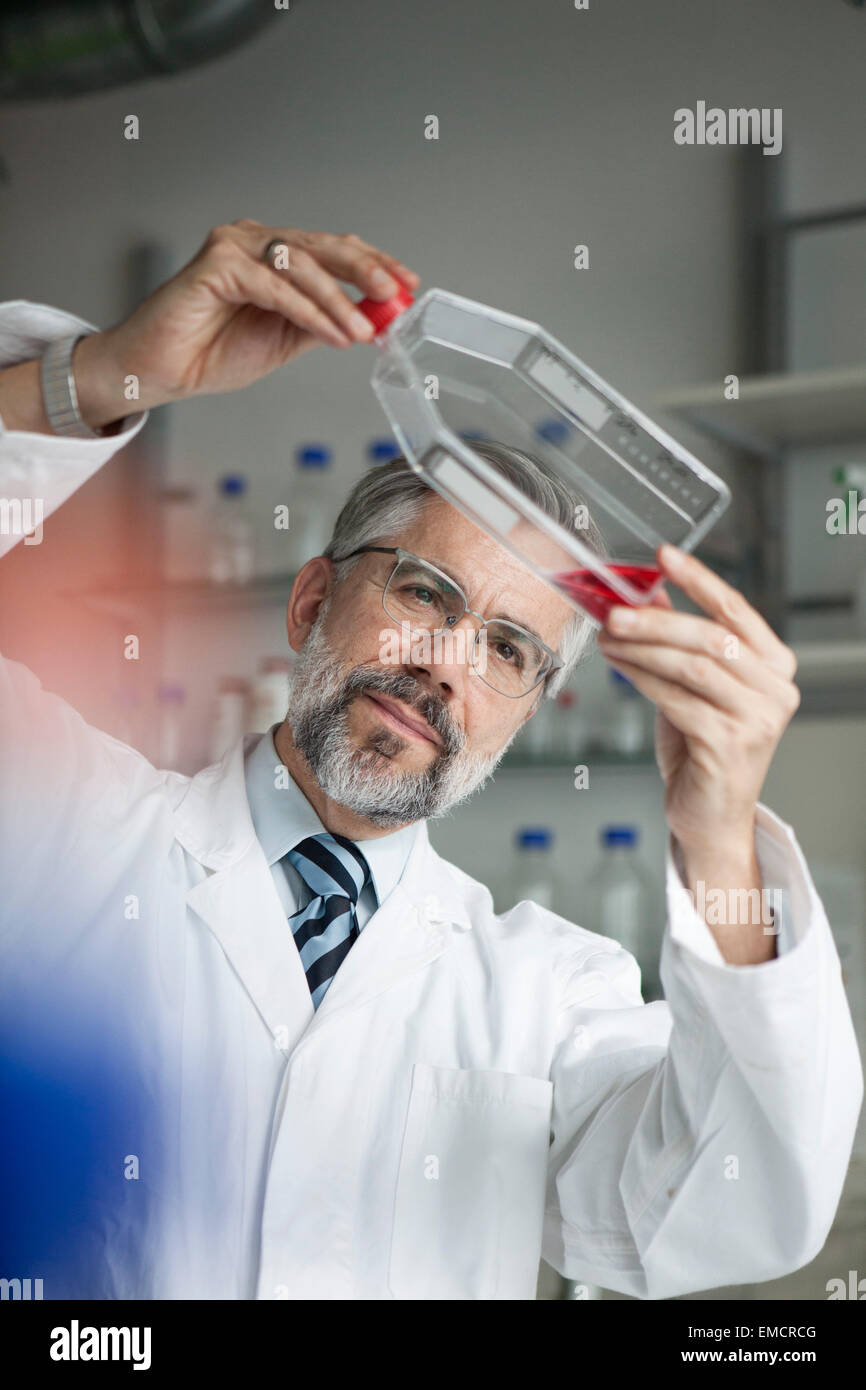 Scientist examining liquid in laboratory Stock Photo