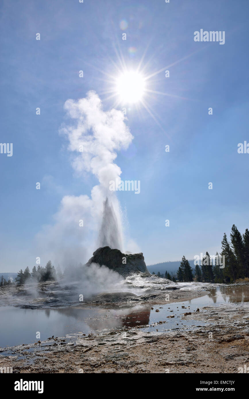 USA, Wyoming, Yellowstone National Park, Castle Geyser erupting Stock ...