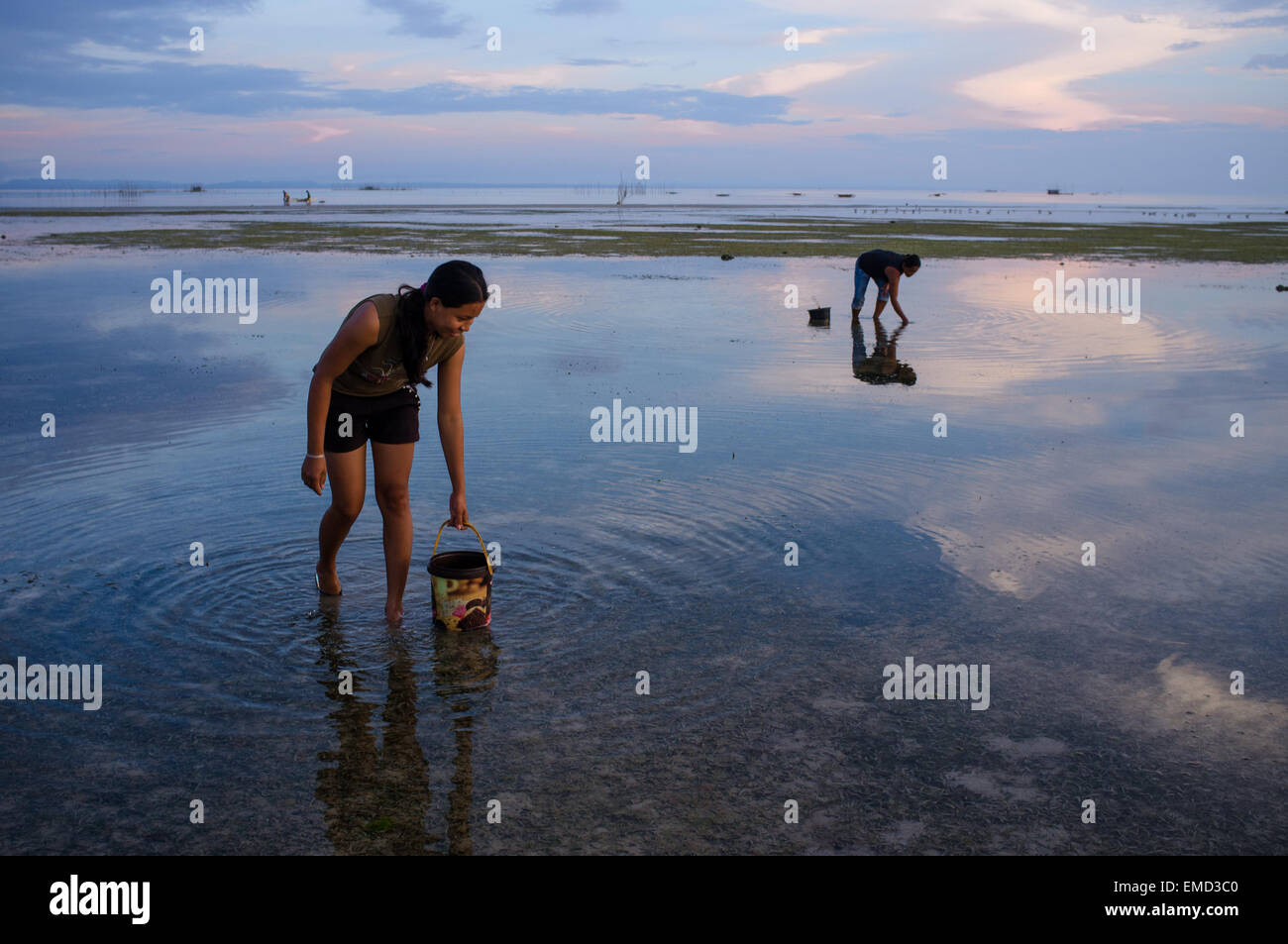 Women collects shells at low tide on Bantayan Island in The Philippines ...