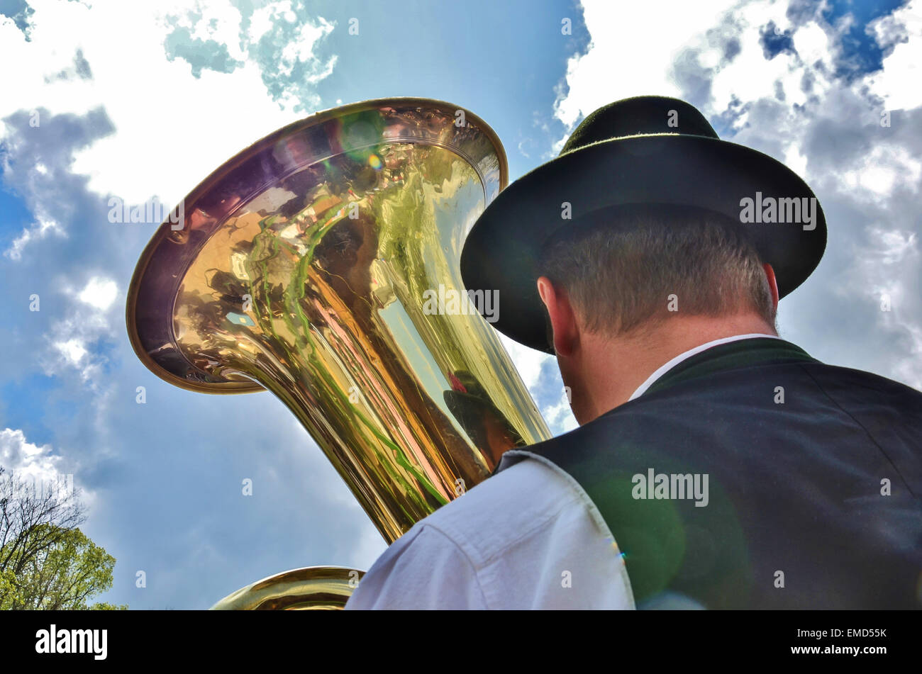 Bavarian brass band musician gold bass tuba at Miesbach 1st May maypole day Stock Photo