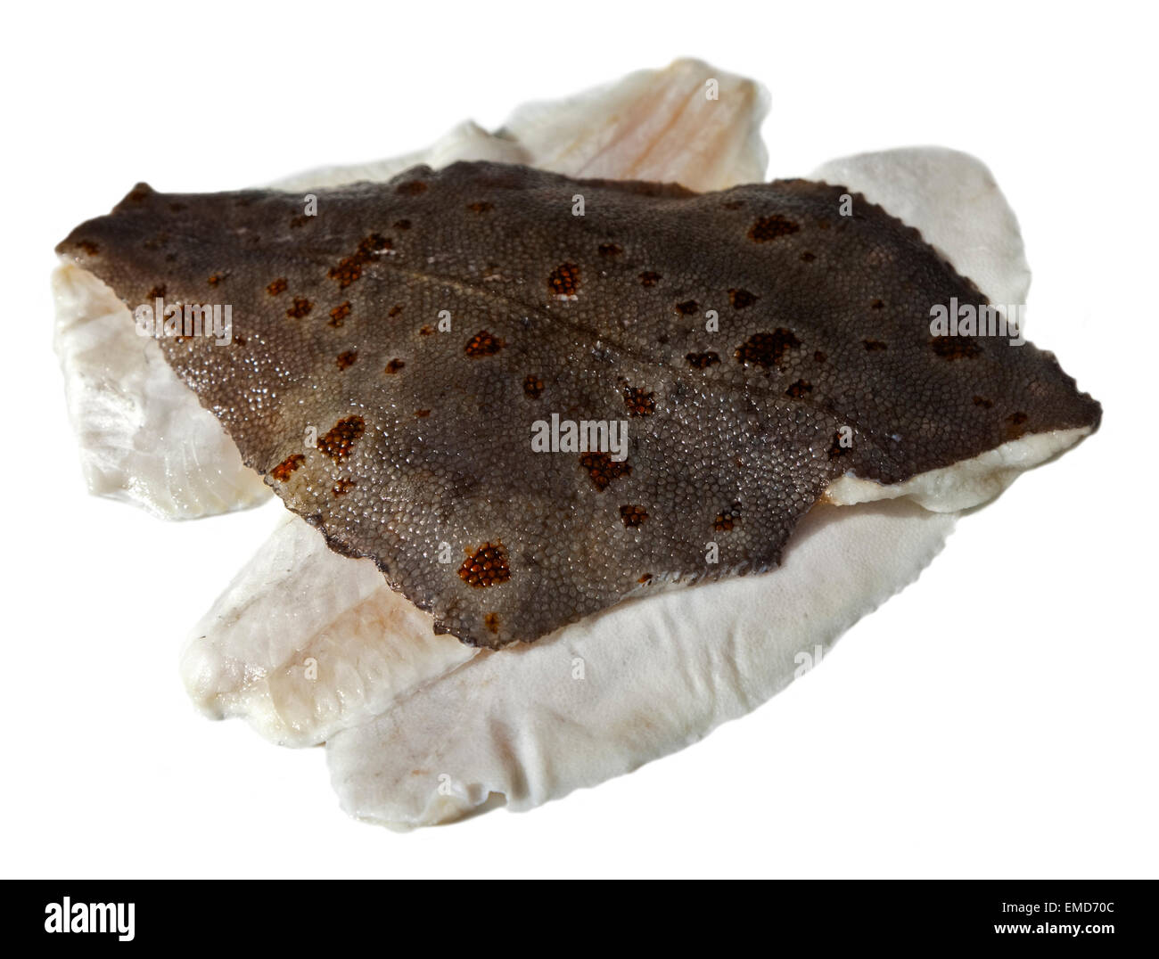 Plaice Fish Fillets uncooked Stock Photo