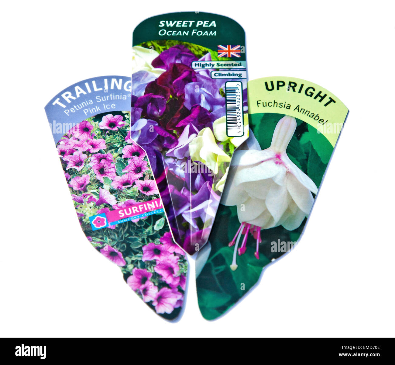 Plant Labels for Annuals and Perennials Stock Photo