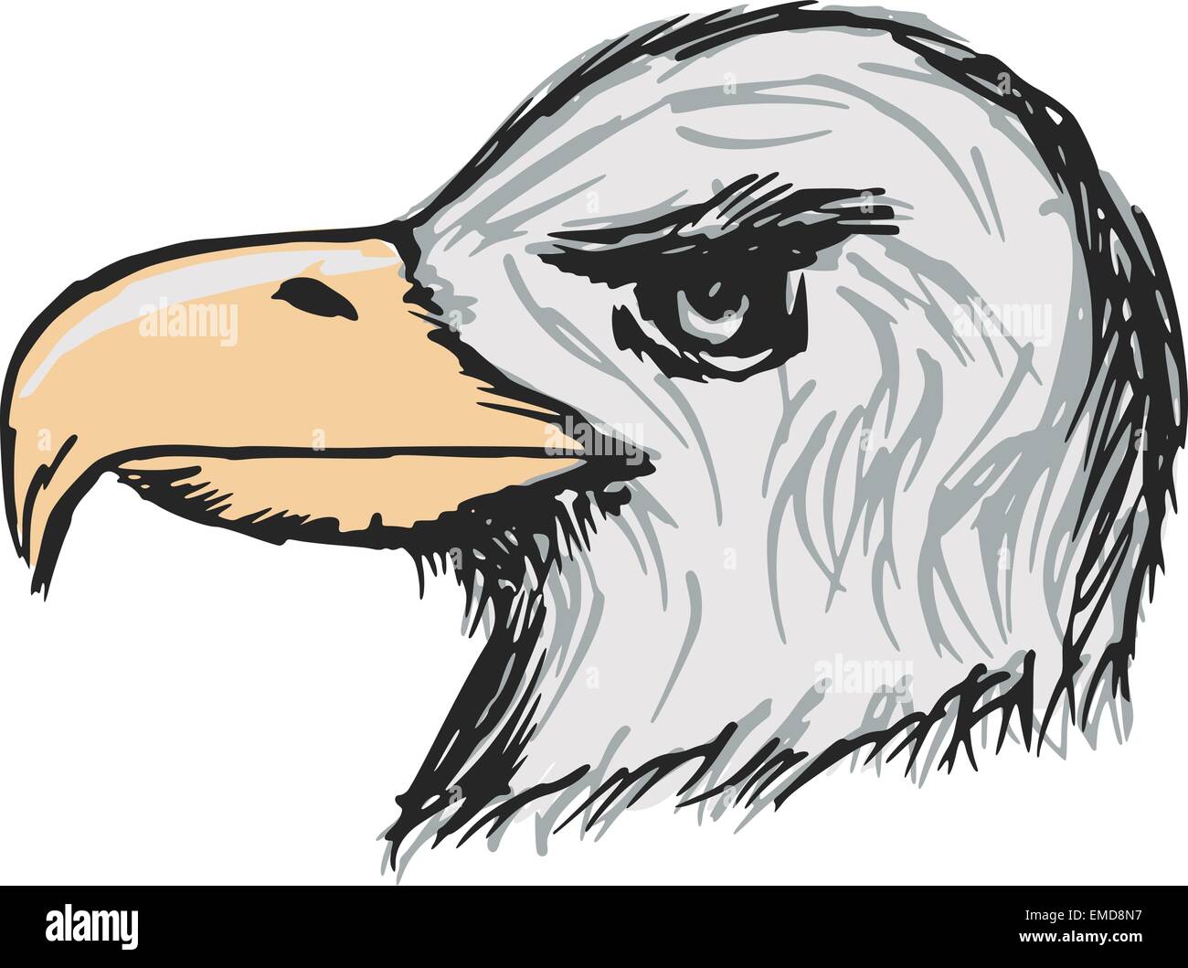 American bald eagle Stock Vector