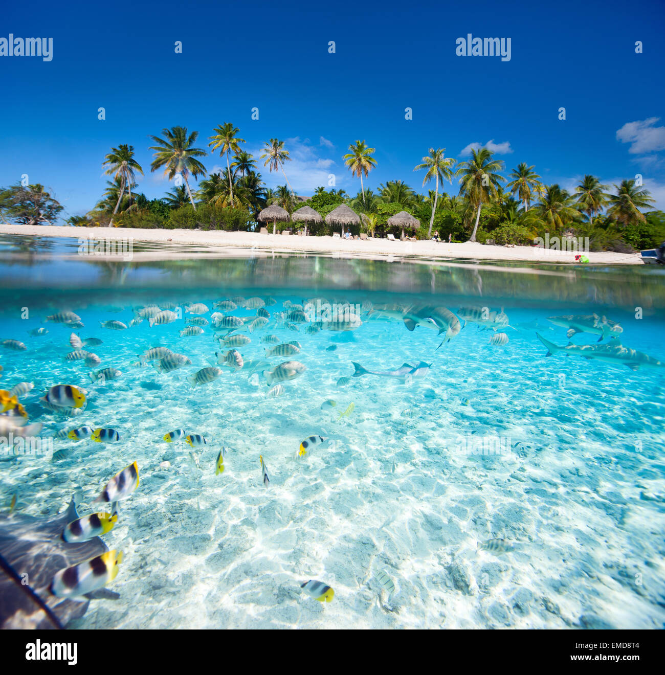 Tropical island Stock Photo