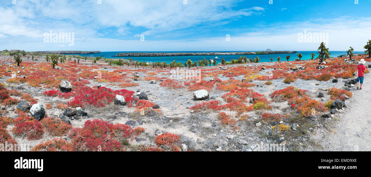 South plaza island Stock Photo Alamy