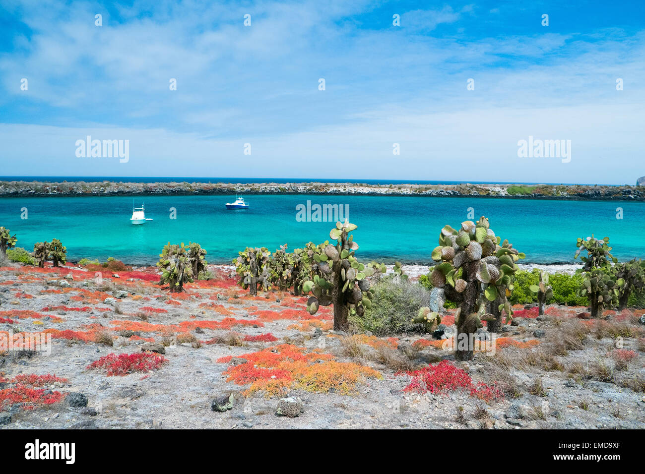 South plaza island Stock Photo Alamy