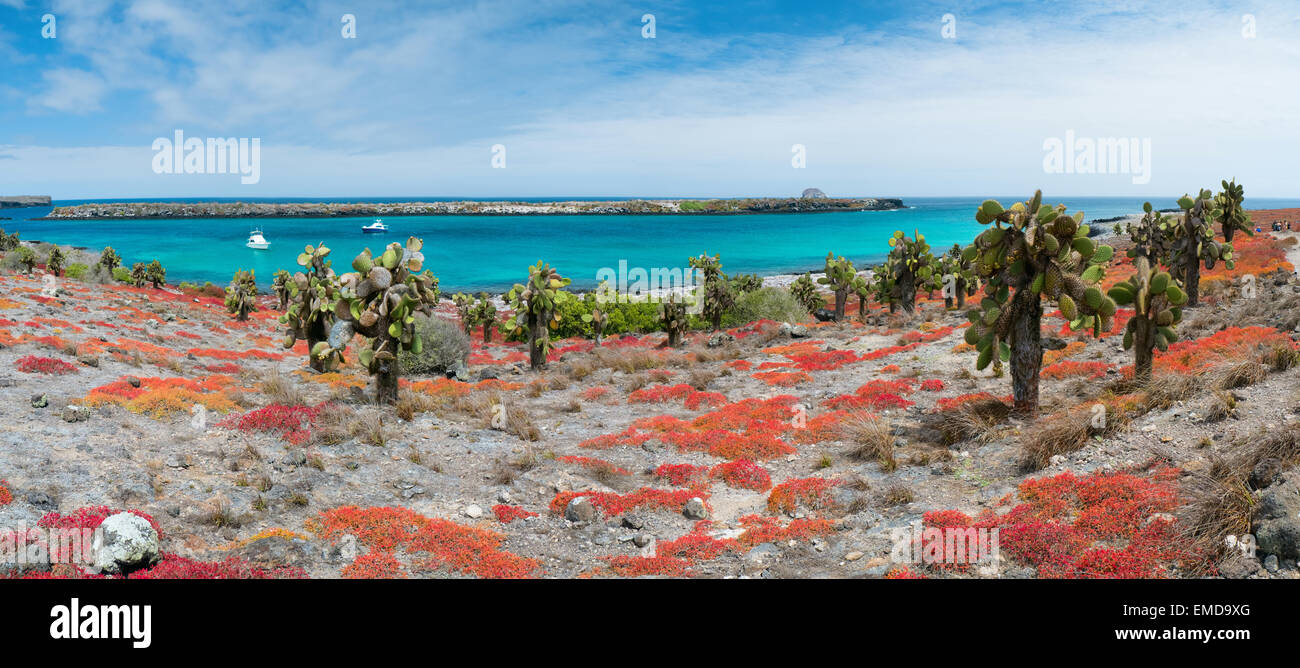 South plaza island Stock Photo Alamy