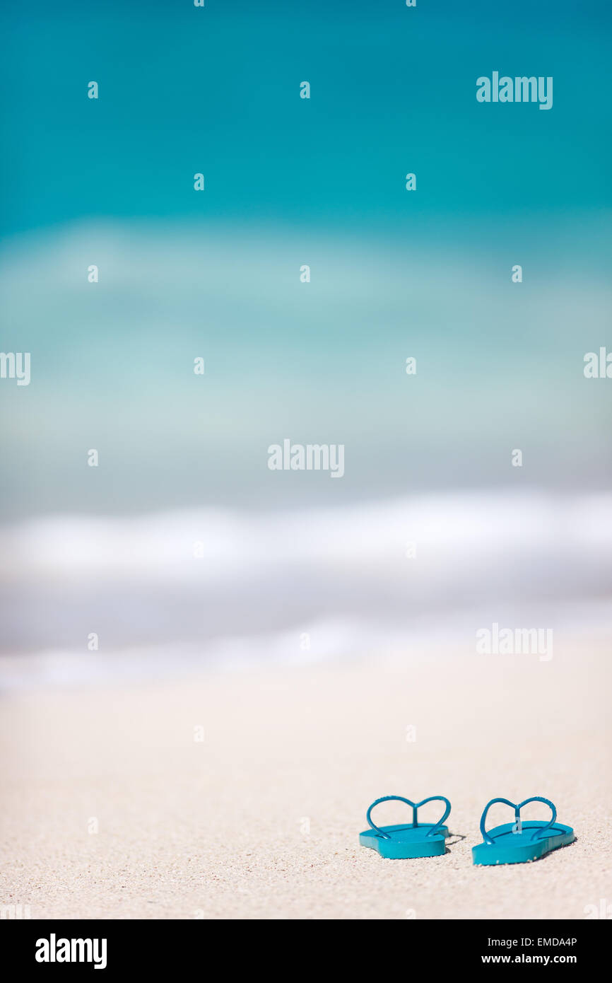 Flip flops on a tropical beach Stock Photo - Alamy