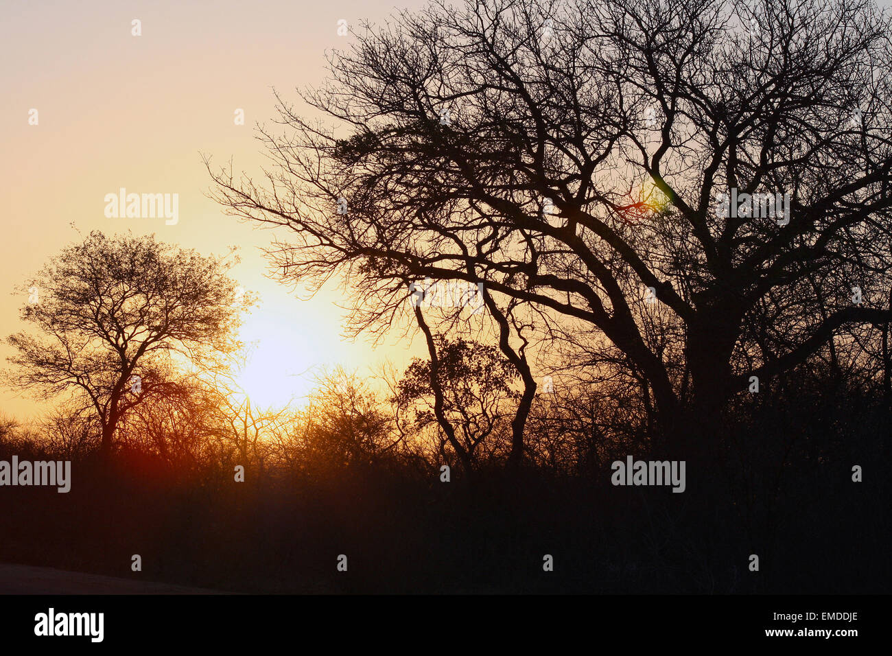 Sunsets in africa stock photo alamy