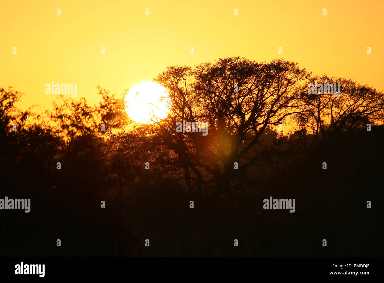 Sunsets in africa stock photo alamy