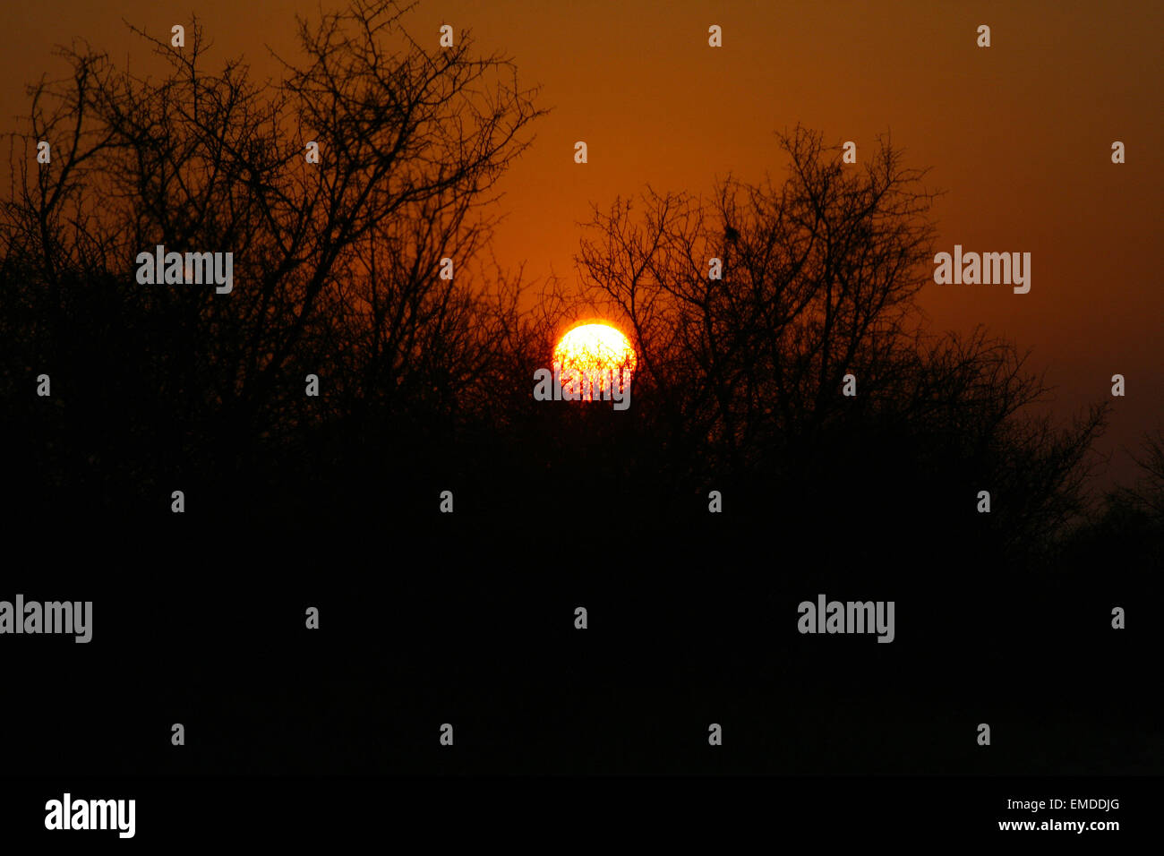 Sunsets in africa stock photo alamy