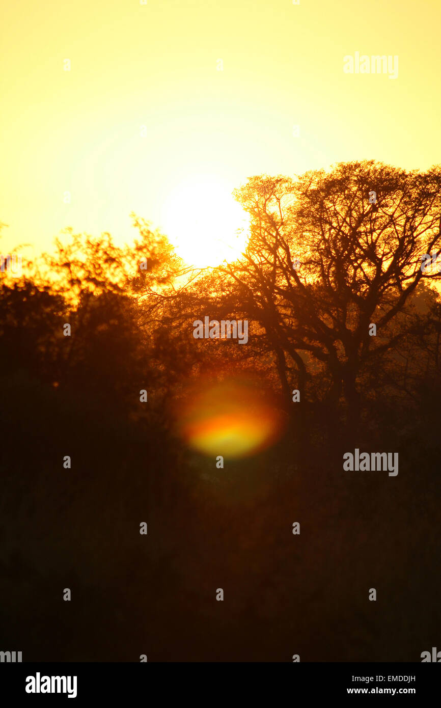 Sunsets in africa stock photo alamy