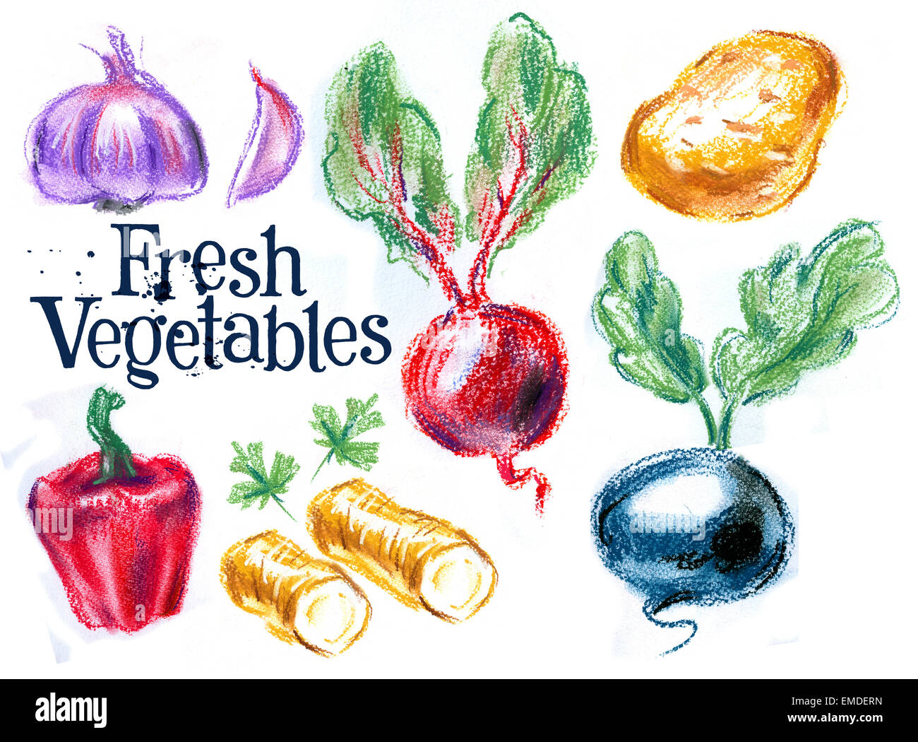 fresh vegetables on white background. sketch, illustration Stock Photo