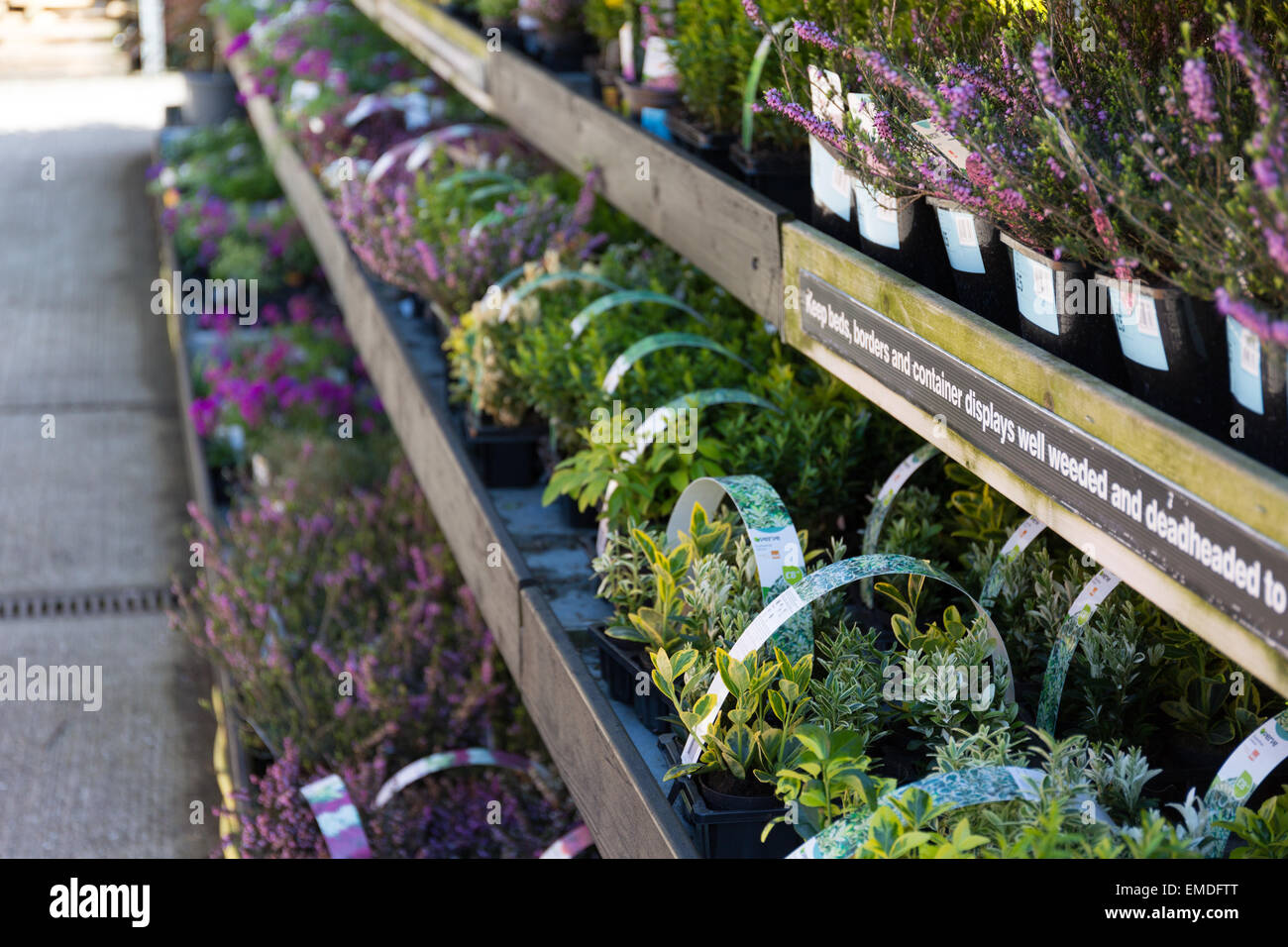 B&q garden centre hi-res stock photography and images - Alamy