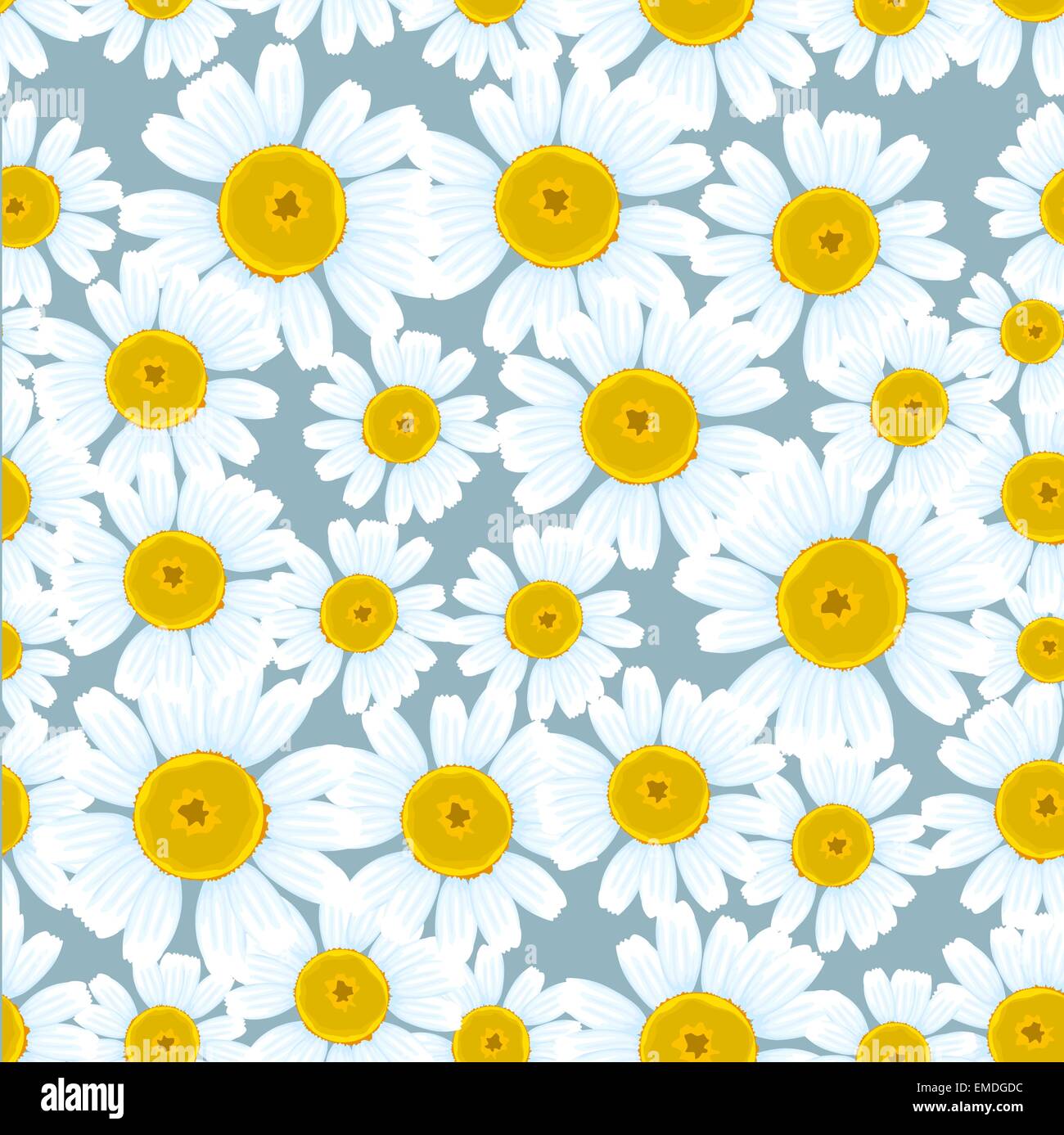 Chamomiles seamless background Stock Vector Image & Art - Alamy