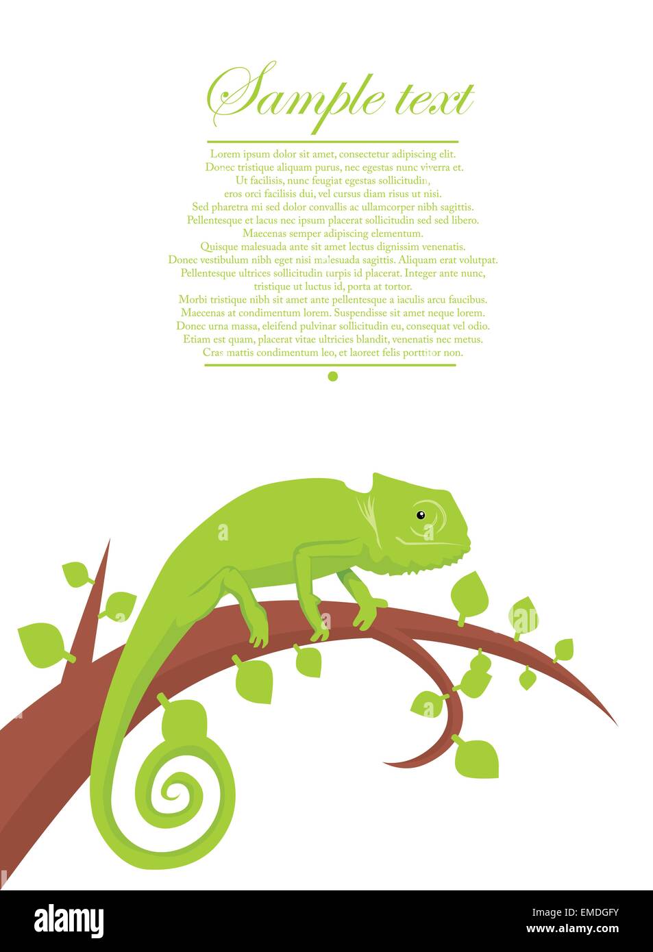 Kid Chameleon High Resolution Stock Photography And Images Alamy