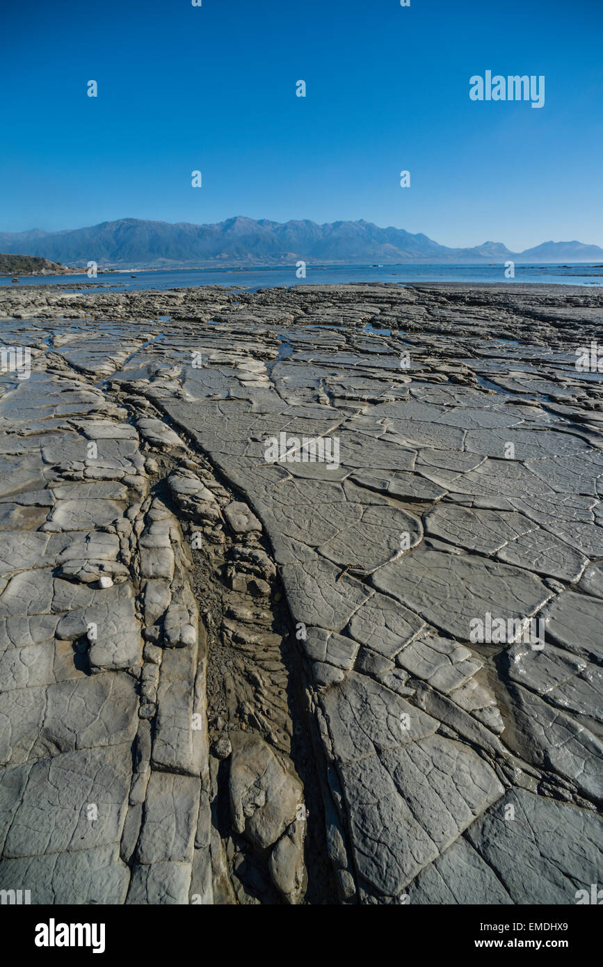 Petrified mud flats at Kaikoura, south island, New Zealand. Stock Photo