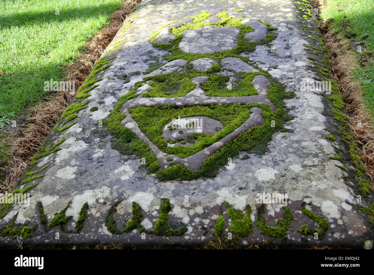 Gravestone with skull Stock Photo