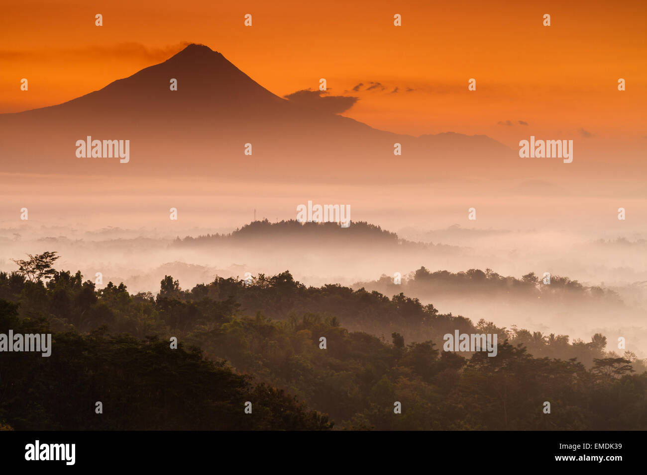 Jungle landscape at dawn near Borobudur buddhist temple. Magelang, Java. Indonesia, Asia. Stock Photo