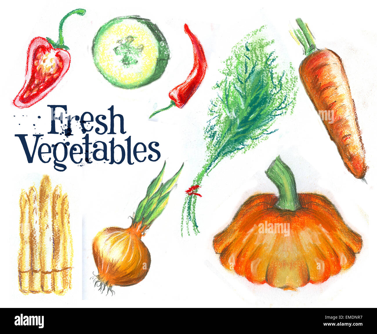 sketch. fresh vegetables on white background Stock Photo