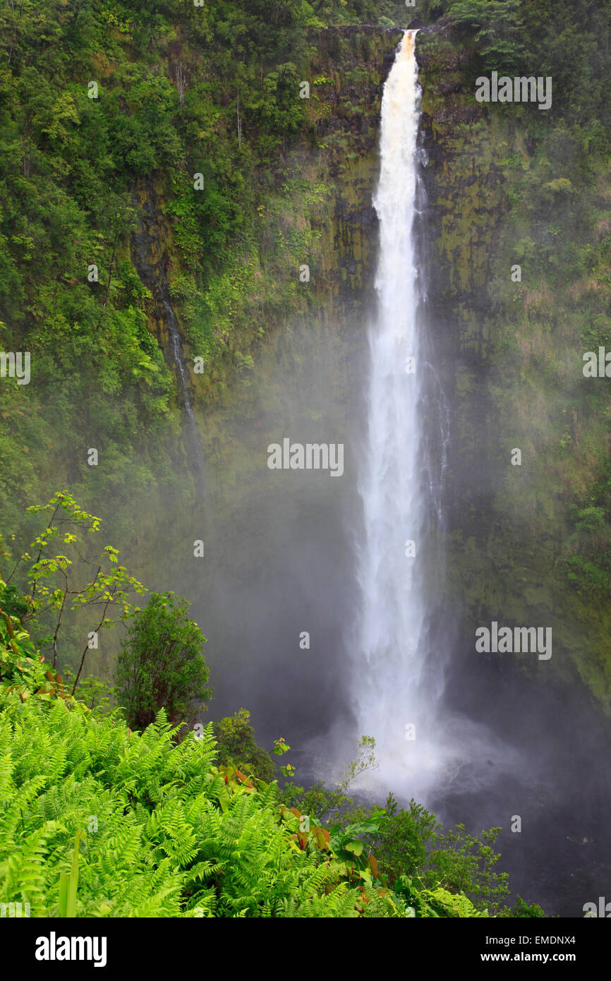 Hawaii, Big Island, Akaka Falls State Park, Stock Photo