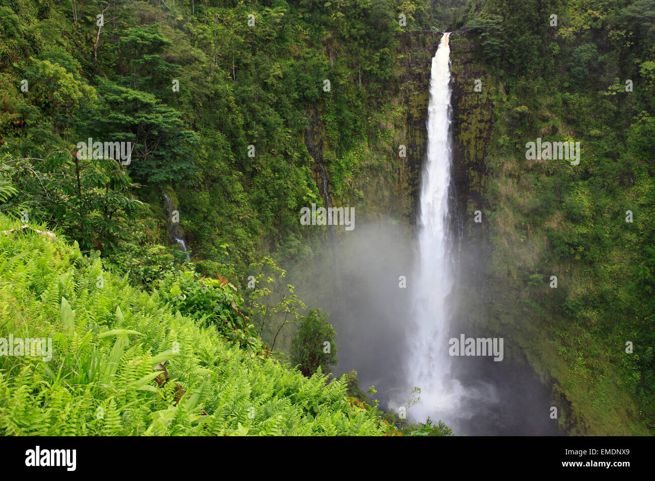 Hawaii, Big Island, Akaka Falls State Park, Stock Photo