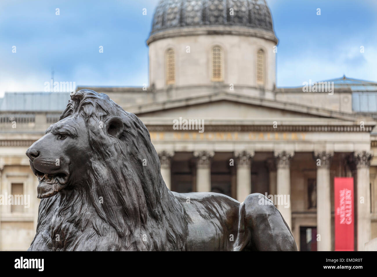 The Trafalgar Square Lions with the National gallery in the background Stock Photo