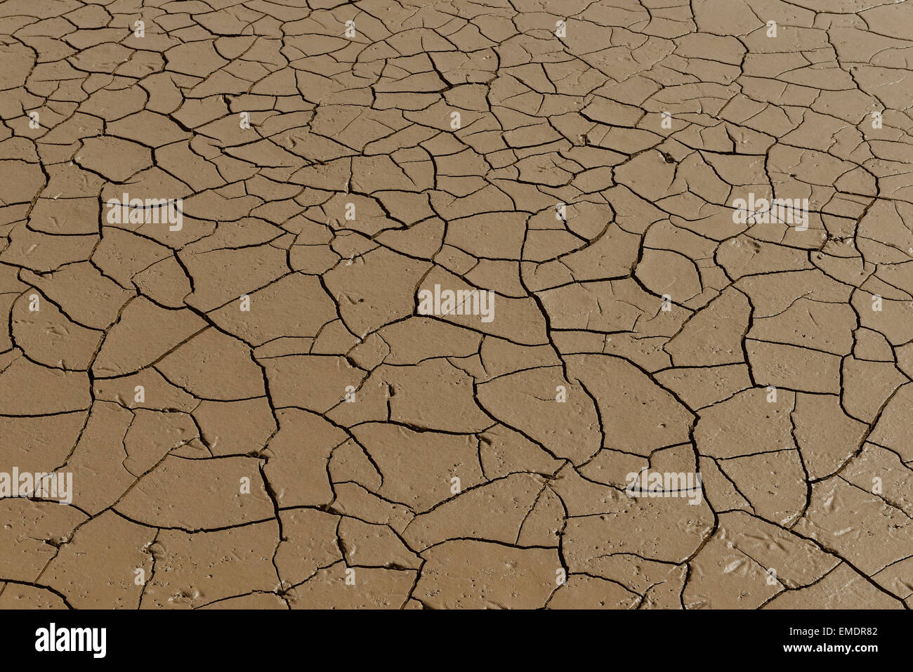 Cracked sand and mud at low tide Stock Photo