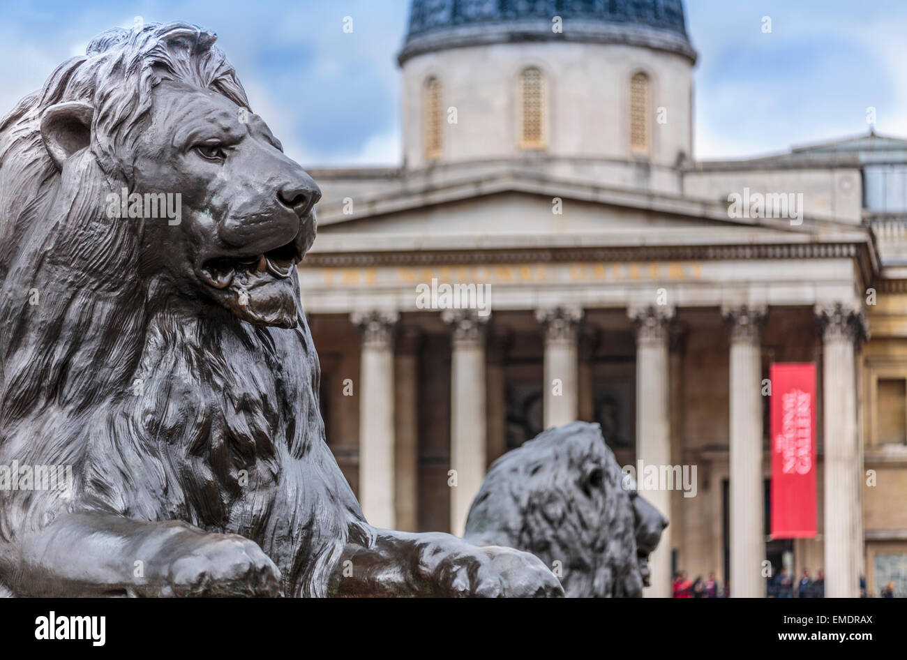 The Trafalgar Square Lions with the National gallery in the background LONDON ENGLAND UK Stock Photo