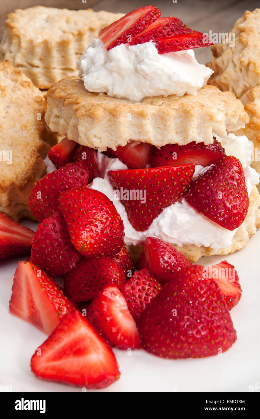 Homemade Strawberry Shortcake Stock Photo