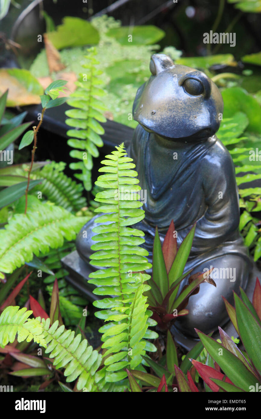 https://c8.alamy.com/comp/EMDT65/hawaii-big-island-hilo-garden-frog-statue-ferns-EMDT65.jpg